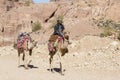 Petra, Jordan Ã¢â¬â December 25th, 2015: Bedouin man riding a camel Royalty Free Stock Photo